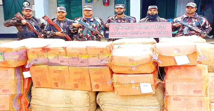 সীমান্ত থেকে ৪৩ লাখ টাকার ভারতীয় মালামাল জব্দ