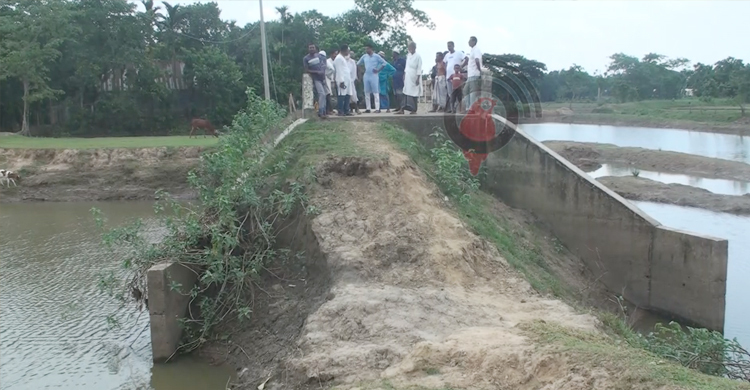জীবনরক্ষা বাঁধে বাঁচবেন ৪০ গ্রামের কৃষক