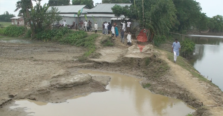 জীবনরক্ষা বাঁধে বাঁচবেন ৪০ গ্রামের কৃষক