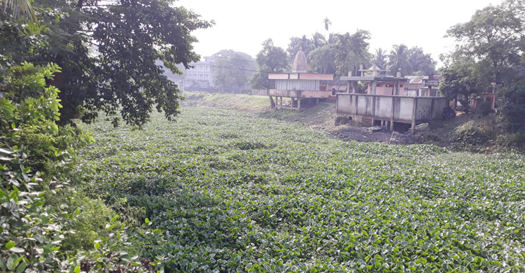 দখল দূষণে ধলাই নদীর বেহাল দশা