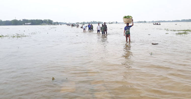 নেত্রকোনায় বন্যায় ভেসে গেছে প্রায় ১১ কোটি টাকার মাছ