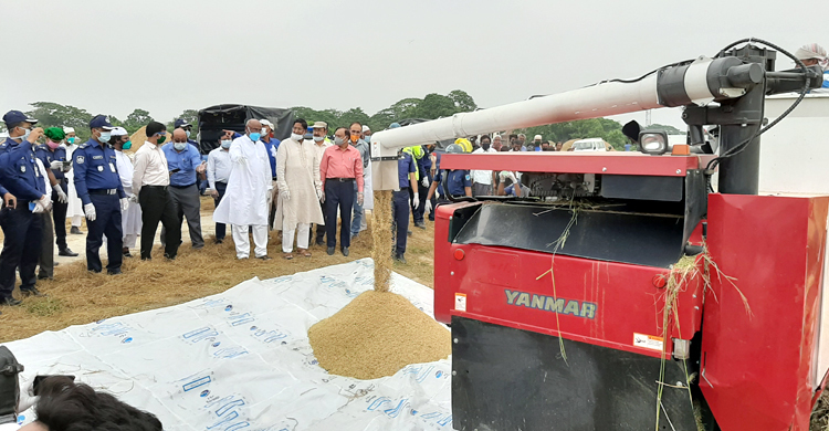 কৃষকদের সঙ্গে সহমর্মিতা প্রকাশ করতে হাওরে গেলেন কৃষিমন্ত্রী