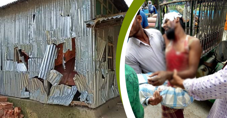 নেত্রকোনায় গরু শসা গাছ খাওয়ায় সংঘর্ষে যুবকের মৃত্যু