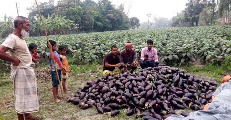 নষ্ট অওনের চেয়ে মাইনষে খাউক