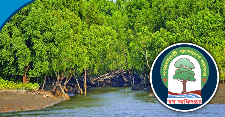 কাজ একই, তবু সুন্দরবন রক্ষায় ভিন্ন নামে একাধিক প্রকল্প