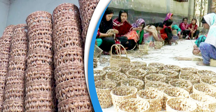 কচুরিপানায় তৈরি সামগ্রী যাচ্ছে বিদেশে