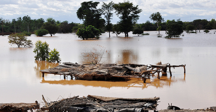 Niger floods claim 35 lives, leave over 26,000 homeless