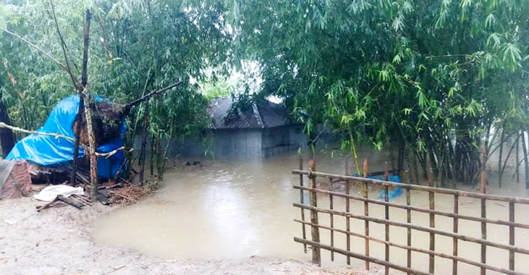 কমছে তিস্তার পানি, নীলফামারীতে বাড়ছে ভাঙন