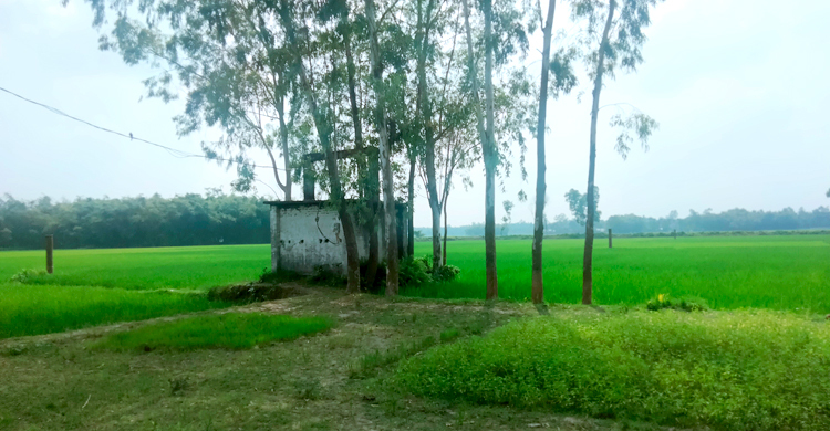 সেচ পাম্পের ঘরে মিললো যুবকের মরদেহ