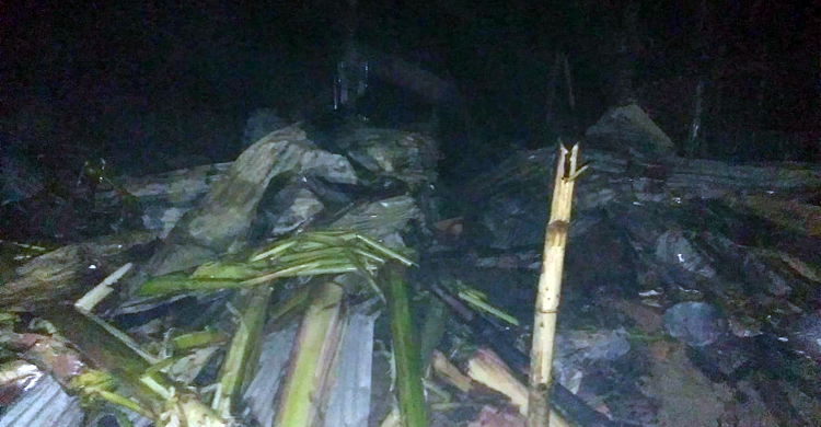 দগ্ধ হয়েও আগুন থেকে শাশুড়িকে বাঁচাতে পারলেন না পুত্রবধূ