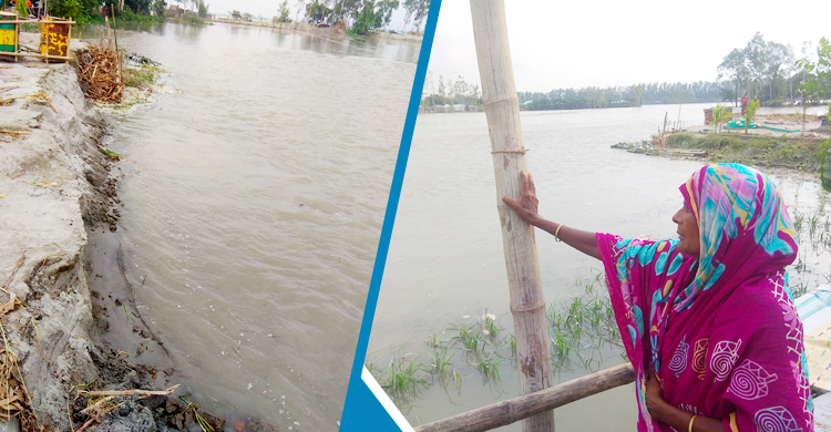 তিস্তায় বিলীন আছিয়ার মাথা গোঁজার ঠাঁই