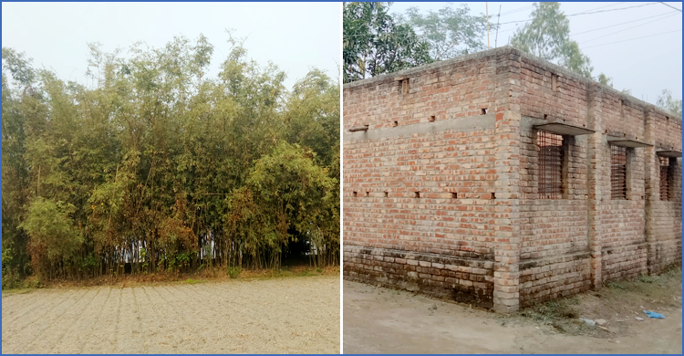 নীলফামারীতে এক বধ্যভূমিতে বাঁশঝাড়, অপরটিতে ঘরবাড়ি