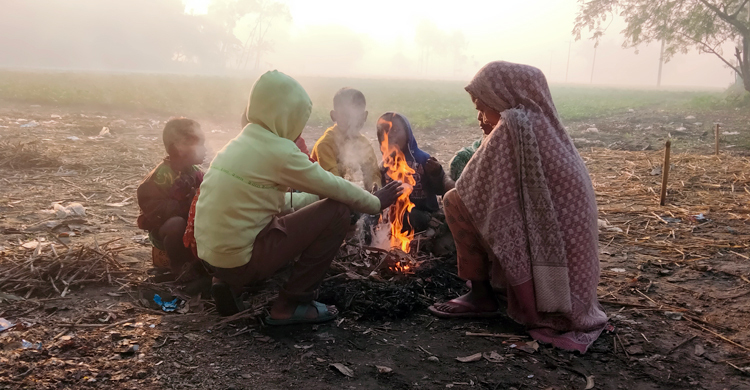 কুয়াশার চাঁদরে ঢাকা নীলফামারী, বিপর্যস্ত জনজীবন