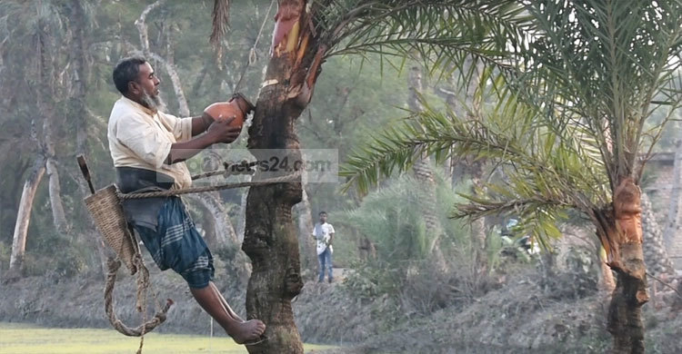 নিপাহ ভাইরাস কী জানেন না সাতক্ষীরার গাছিরা, নেই প্রচারণা