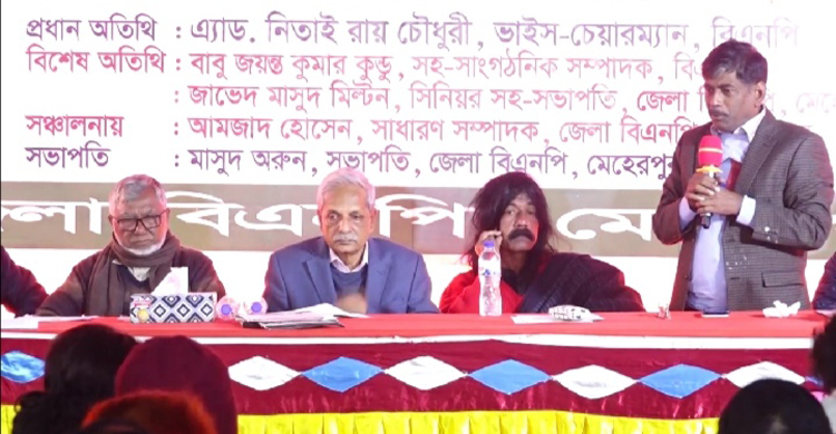 তত্ত্বাবধায়ক সরকার ছাড়া বিএনপি নির্বাচনে যাবে না: নিতাই রায়