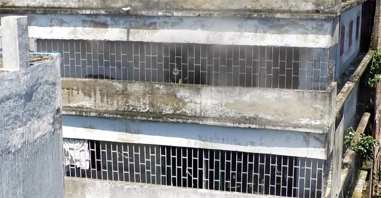 নওগাঁয় কসমেটিক গোডাউনে আগুন, ১৫ লাখ টাকার ক্ষতি