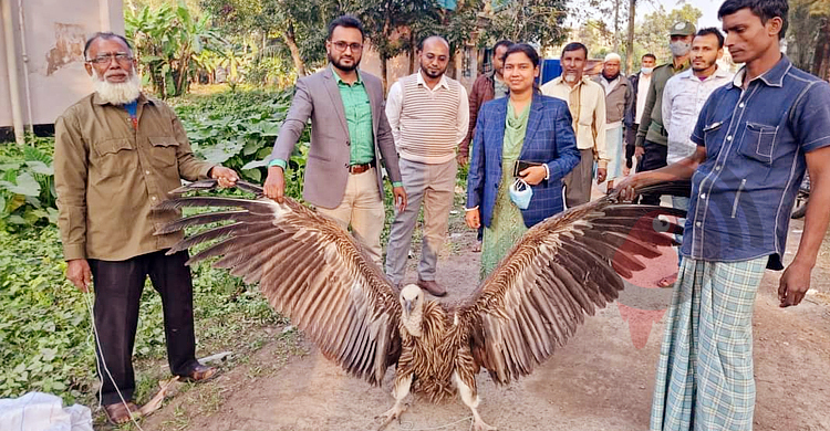 মুক্ত আকাশে ডানা মেললো বিপন্নপ্রায় শকুন