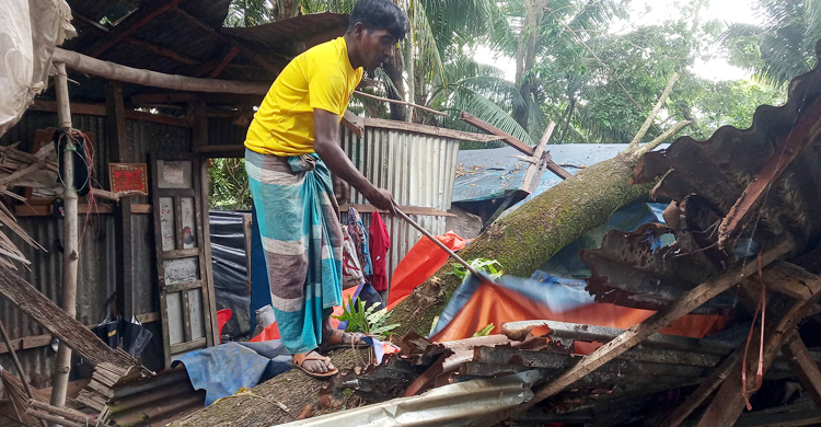 সুবর্ণচরে গাছচাপায় শিশুর মৃত্যু, অর্ধশতাধিক ঘরবাড়ি বিধ্বস্ত