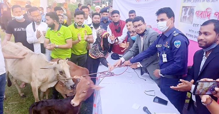 গবাদিপশু পেলো নোয়াখালীর ৫ ভিক্ষুক পরিবার