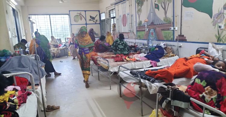 নোয়াখালী জেনারেল হাসপাতালে একমাসে ১৪৪ রোগীর মৃত্যু