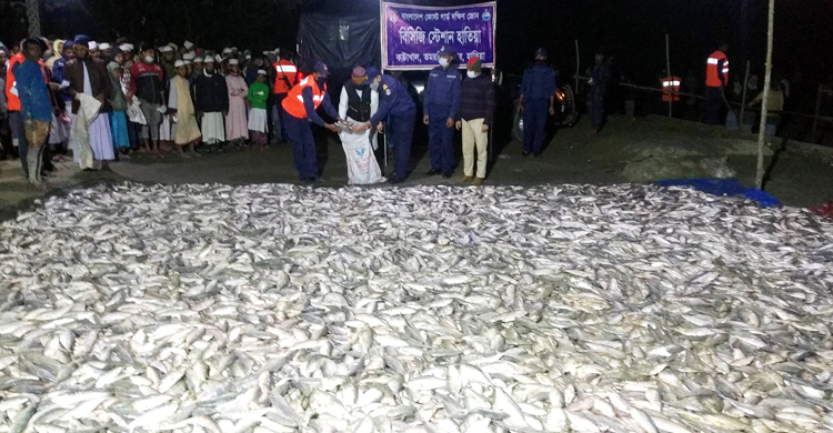 হাতিয়ায় জব্দ ১৪০ মণ জাটকা গেলো এতিমখানায়