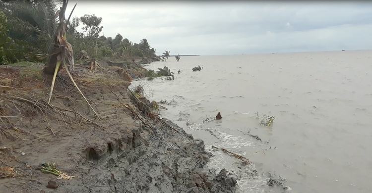 মেঘনার ভাঙনে বিলীন হচ্ছে উড়িরচর