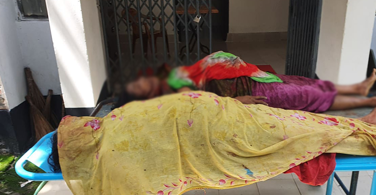 ঝগড়ার সময় স্ত্রী ও বাড়িওয়ালাসহ তিনজনকে কুপিয়ে হত্যা