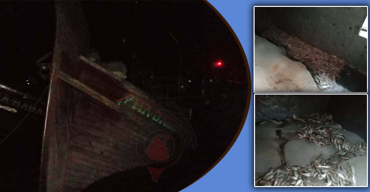 নিষেধাজ্ঞা অমান্য করে মাছ শিকার, ২ নৌকা জব্দ