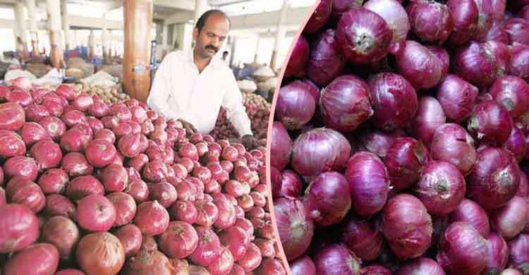 পাকিস্তান থেকে পেঁয়াজ আমদানিতে বাধা নেই