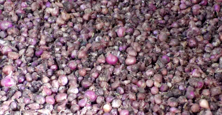 হিলিতে ক্রেতার অভাবে পচছে আমদানির পেঁয়াজ