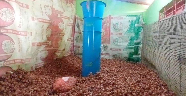 পেঁয়াজ সংরক্ষণে সাড়া ফেলেছে ‘এয়ার ফ্লো মেশিন’