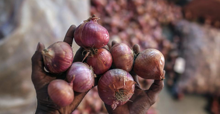 মিসরের পর তুরস্ক থেকে পেঁয়াজ আনছে ভারত