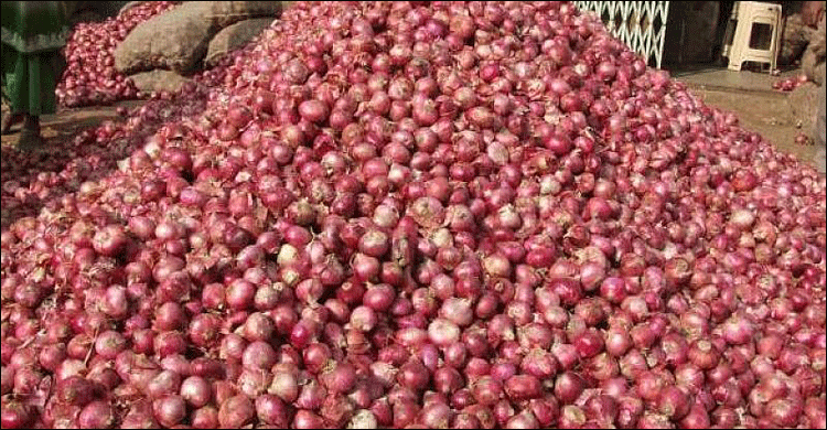 পেঁয়াজের কেজি ১৫