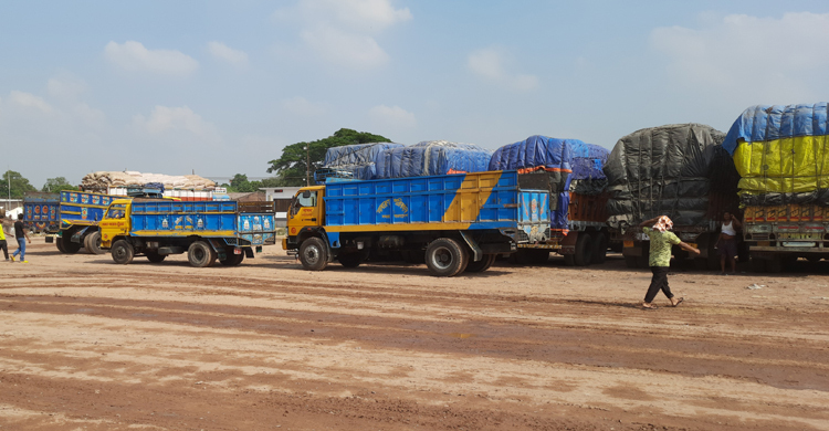 হিলিতে কমলো পেঁয়াজের দাম