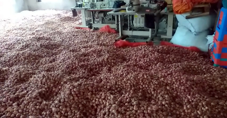 টুপির কারখানায় পাওয়া গেল ১৫০ মণ পেঁয়াজ