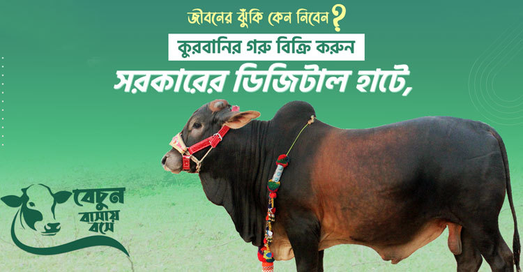 কুরবানির গরু নিয়ে ‘ডিজিটাল হাট’