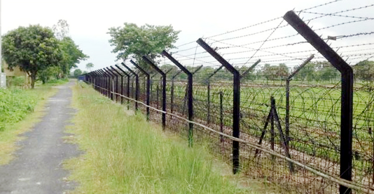 ভারতে গরুসহ বাংলাদেশি যুবক আটক