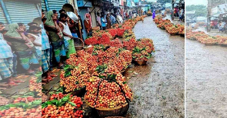 Bumper litchi yield brings smiles to B’baria farmers amid virus worry