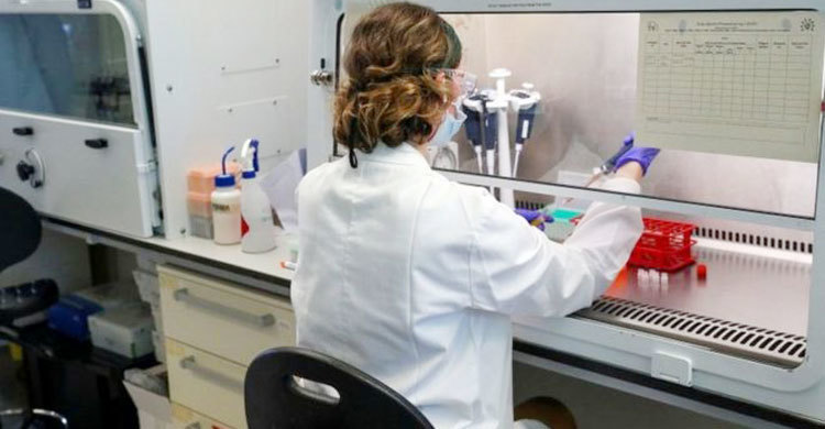 Oxford University vaccine trial paused after participant falls ill