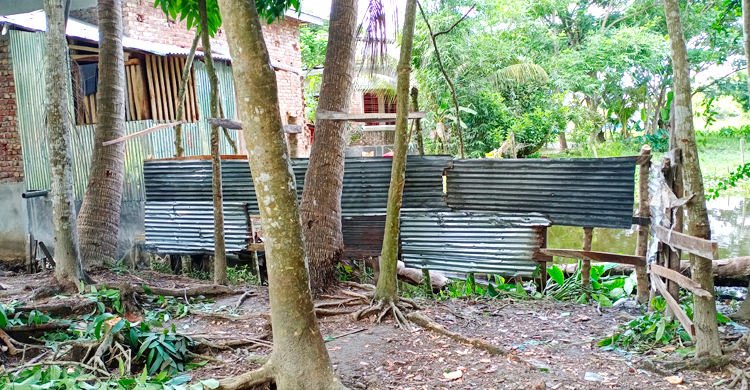 পৌরসভার রাস্তায় টিনের বেড়া, ঘরবন্দি কয়েকটি পরিবার