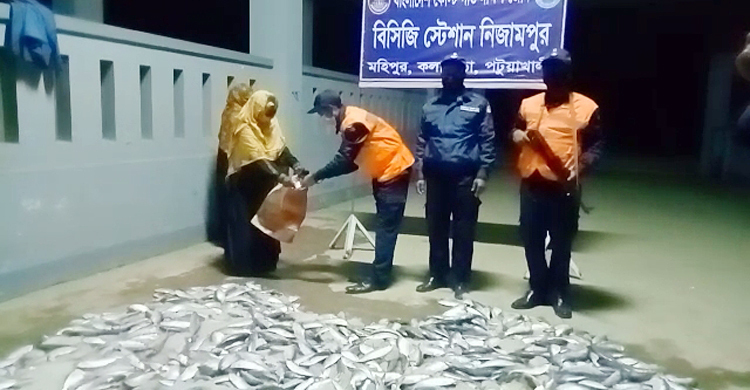 পটুয়াখালীতে বাসে মিললো সাড়ে ৭ মণ জাটকা