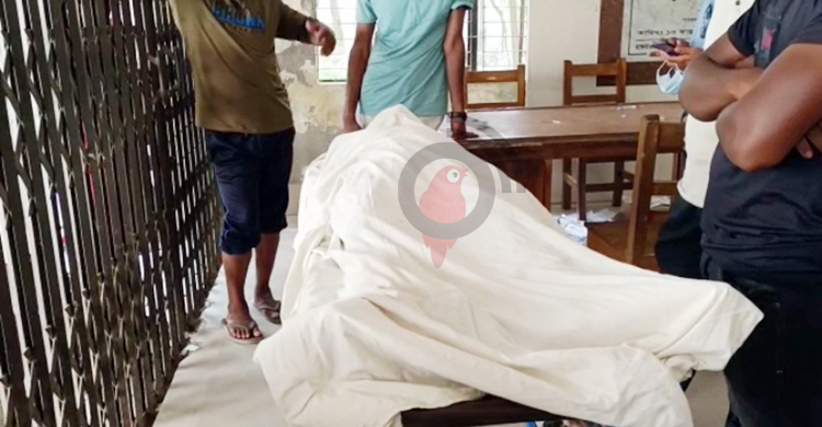 পুকুর সেচের সময় বিদ্যুৎস্পৃষ্টে যুবকের মৃত্যু