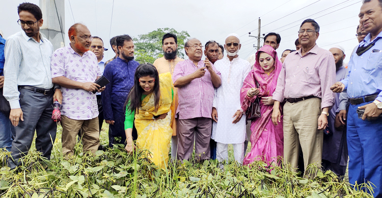 অশনি: দ্রুত ফসল তোলার পরামর্শ কৃষিমন্ত্রীর