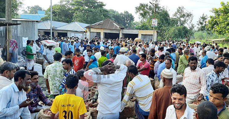 মৌসুম শেষেও পেঁয়াজের দাম না পেয়ে হতাশ চাষিরা