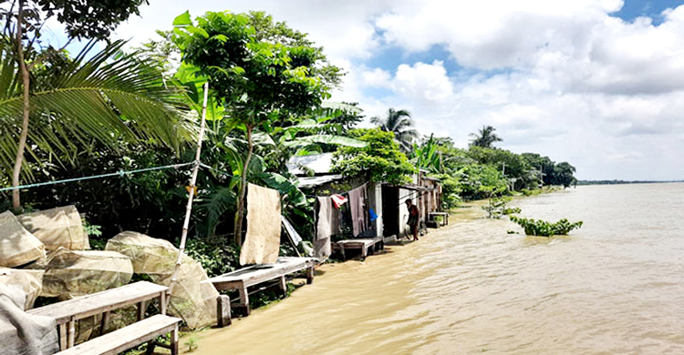 পাবনায় দ্রুত বাড়ছে পদ্মার পানি, বাঁধ উপচে ঢুকছে লোকালয়ে
