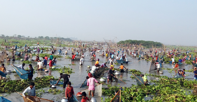 চলনবিলের বুকে পলো উৎসবে মেতেছেন বাউতরা