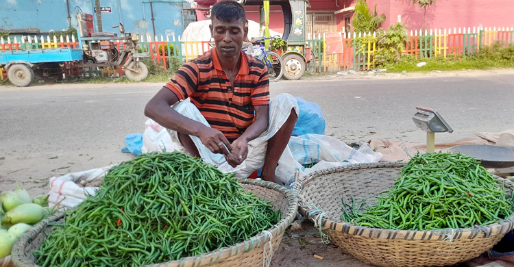 ঈশ্বরদীতে কাঁচা মরিচ ৪০ টাকা কেজি