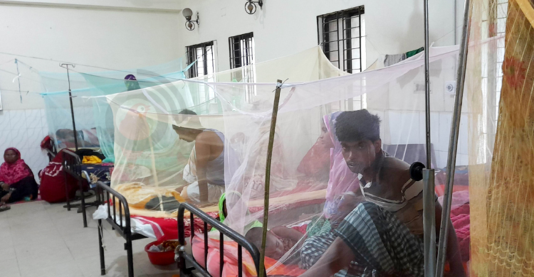 পাবনায় বাড়ছে ডেঙ্গু রোগী, বেশিরভাগই রূপপুর প্রকল্পের কর্মচারী