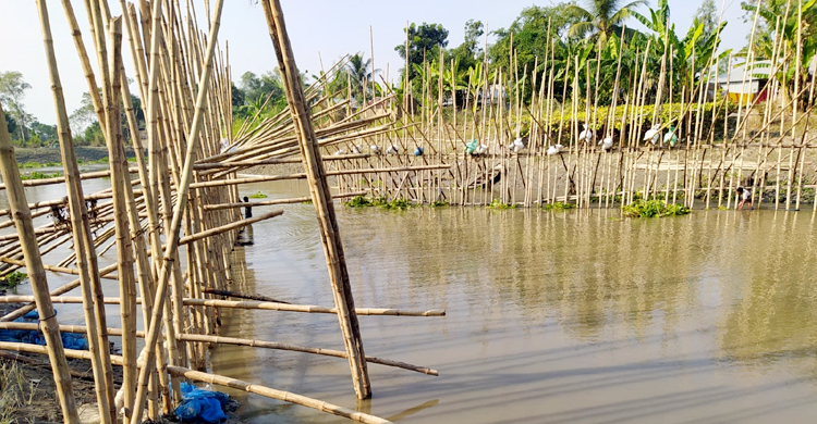 জলাবদ্ধতা থেকে রক্ষা পেল ৪০ হাজার বিঘা জমি