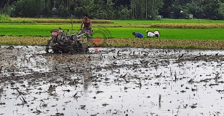 &lsquo;চালানই যদি না বাঁচে তাইলে তো চাষের কাম কইরা লাভ নাই&rsquo;
